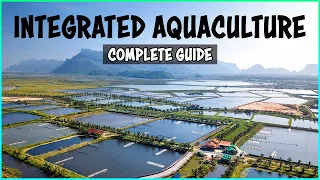 Integrated Aquaculture Farming System and Aquaponics