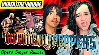 Red Hot Chili Peppers - Under The Bridge | Opera Singer Reacts