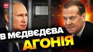 💩Пес Путіна не зміг змовчати через Гаагу