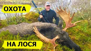 Охота на лося в Норвегии. Охотничьи приключения в Норвегии / NORDIC WILD HUNTER (Охотник и рыболов)