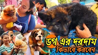 ডগ এর দরদাম কিভাবে করবেন | Galiff Street Pet Market Kolkata | dog market in kolkata | pet market