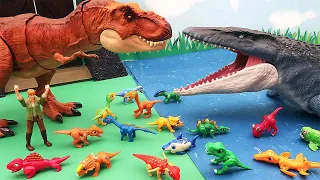 T.Rex VS Mosasaurus - Dinosaur Battle For Kids. Dinos Egg Hatching