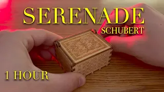 Schubert - Serenade (Bonnie's Lullaby) Music Box 1 HOUR