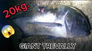 GREAT TREVALLY || SPEARFISHING PHILIPPINES || FISH OF A LIFE TIME!😱