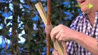 Alan explains how to plant and stake a tree