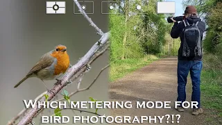 What is the best metering mode for Bird and Wildlife photography?