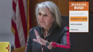 New Mexico reps call for governor's impeachment after firearms suspension