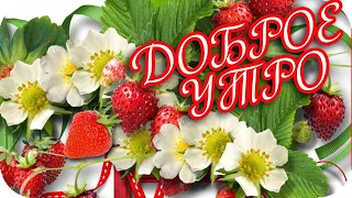 Доброе утро! ❤️ Все хорошо, тверди себе с Утра! ❤️ Good morning! ❤️