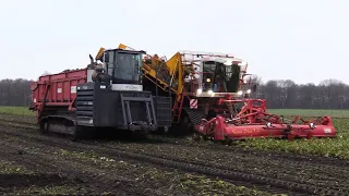 Bietenoogst 2024 |wet beet harvest | Rupscarrier | Gilles stuck in the mud | Agrifac with 4 tracks