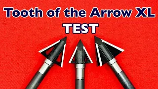 WANT BIG HOLES? TOOTH of the ARROW XL SOLID: Broadhead Test