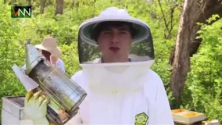 Five Minute Expert: Beekeeping