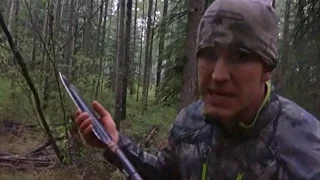 Spear killing of bear sparks outrage