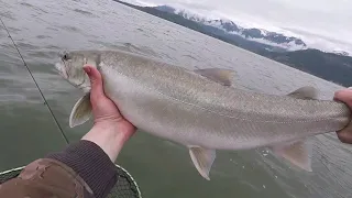 Lake Pend Oreille Browns, Bulls, Lakers and Walleye