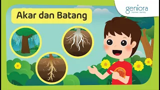 Akar dan Batang | Bentuk dan Fungsi Bagian Tumbuhan | IPA | 4 SD | SayaBisa