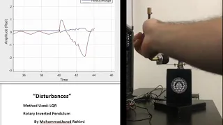 Rotary Inverted Pendulum "disturbances"