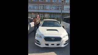 SUBARU LEVORG VM4 1.6 GT Eyesite 4WD под заказ за 1300000 рублей