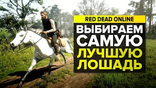 САМАЯ ЛУЧШАЯ ЛОШАДЬ В RED DEAD ONLINE | СОВЕТЫ RED DEAD REDEMPTION 2