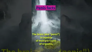 Amazing penis fact on orgasm! #shorts #penisfacts