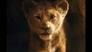 Новый король лев