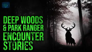 DEEP WOODS AND PARK RANGER HORROR STORIES - SCARY STORIES OF PARK RANGERS AND THE WOODS