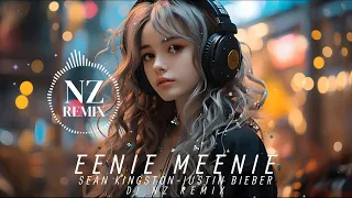 DJ CHILL MUSIC  !!!   EENIE MEENIE - SEAN KINGSTON-JUSTIN BIEBER (NZ REMIX)