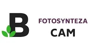 fotosynteza CAM - KOREPETYCJE z BIOLOGII - 113