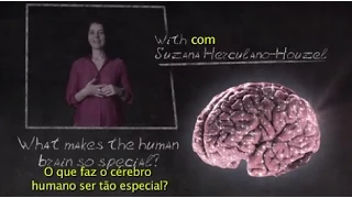 BrainStorm - What makes the human brain so special? - Suzana Herculano-Houzel