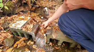 Massive Clog At The Miniature Dam After Big Storm