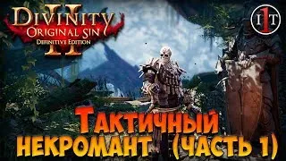 Тактичный Некромант (Часть 1) | Divinity: Original Sin 2