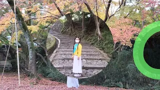 Iga City, Japan || The birthplace of Ninja || Autumn || Exploring Japan