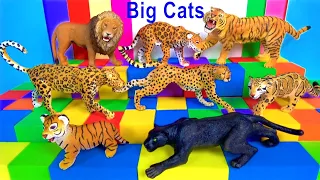 Big Cat Week 2019 - Happy Cute ZOO Animals LION TIGER LEOPARD JAGUAR CHEETAH BIG CATS Toy Review