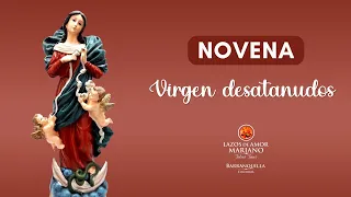 Novena a La Virgen Desatanudos♥️ - Día 2