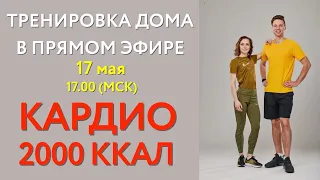 Тренировка Дома в Прямом эфире - 2000 ккал Кардио