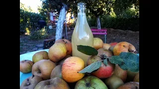 VINAIGRE DE CIDRE MAISON avec LES POMMES DE MON JARDIN