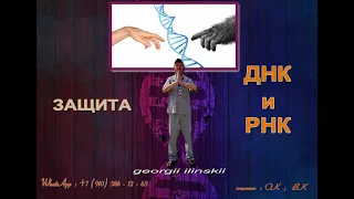 ЗАЩИТА ДНК И РНК