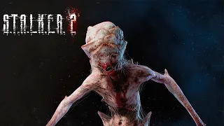 STALKER 2 -  БЕТА ТЕСТ НАЧАЛСЯ !