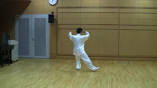 太極拳　４８式太極拳　背面　竹内健二　48forms tai chi chuan　竹内太極拳太極拳