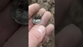 Нашел серебро на шурфе фундамента в лесу! Поиск с металлоискателем
