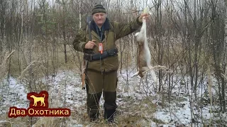 Охота на зайца. Выпуск 6. Сезон 2017-2018г.