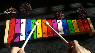 Canon in C - Xylophone 15 keys fullcolors by Gokalimba.net