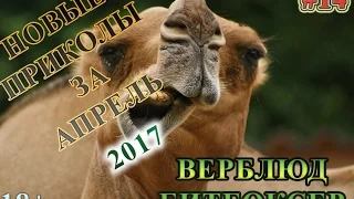 Лучшие Приколы 2017 Апрель | ТОПовая подборка #14