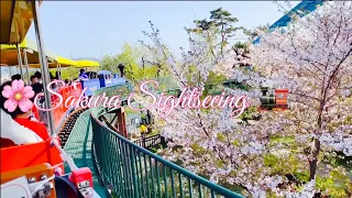 JAPAN VLOG  | 🌸Cherry Blossom 🌸  Riding Train 🚂