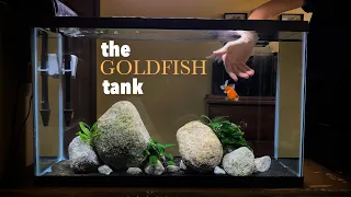 GOLDFISH Aquarium Aquascape