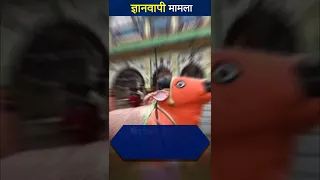 Gyanvapi Masjid मामले में कोर्ट ने दोनों पक्षों से सर्वे रिपोर्ट पर मांगी आपत्तियां | Shorts