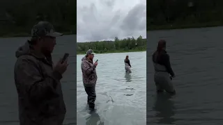 Sockeye Salmon Fishing on the Kenai River Alaska #combatfishing #sockeyesalmon #salmonfishing