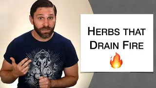🌿 Herbology 1 Review - Herbs that Drain Fire (Extended Live Lecture)