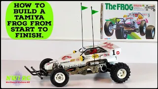 FULL BUILD FROM START TO FINISH | TAMIYA THE FROG