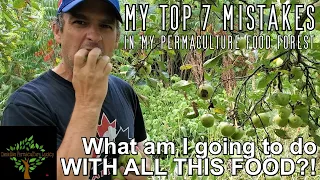 Top 7 mistakes I've made in making my permaculture food forest.