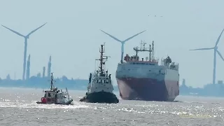 car carrier Weser Highway  H9DD IMO 9065417 inbound Emden Pilot boarding RoRo Autotransporter