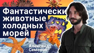 Стань учёным! | Фантастические животные холодных морей - Александр Семенов